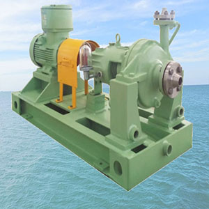 Low Flow Petrochemical Process Pump111.jpg